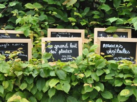 jardin_petit_trianon_grand_huit_versailles_nruaux
