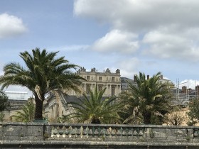 versailles_orangerie_palmiers_nruaux_01