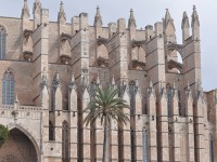 palma_cathedrale_contreforts_arcs_boutants_nruaux_0027