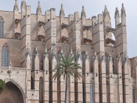 palma_cathedrale_contreforts_arcs_boutants_nruaux_0027