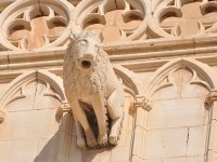 palma_cathedrale_gargouille_nruaux_0043