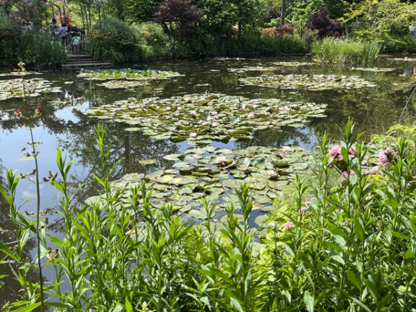 etang_nympheas_monet_giverny_nruaux_5506