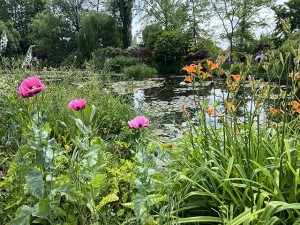 etang_nympheas_monet_giverny_nruaux_5511
