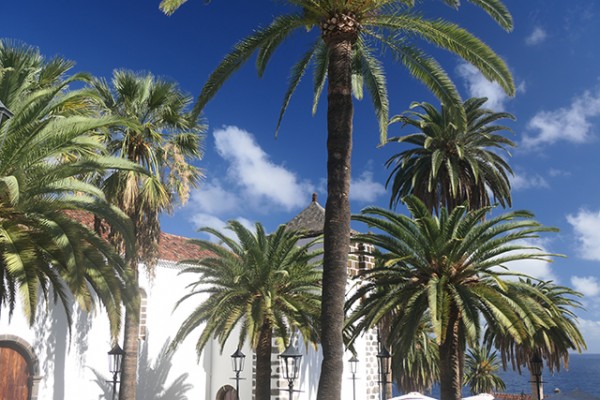 san_andres_y_sauces_nruaux_1000802