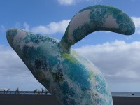 santa_cruz_playa_nruaux_1000730