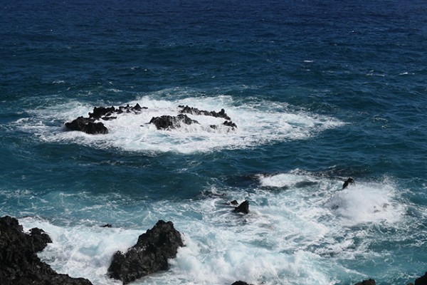 la_palma_ocean_atlantique_nruaux_1000654