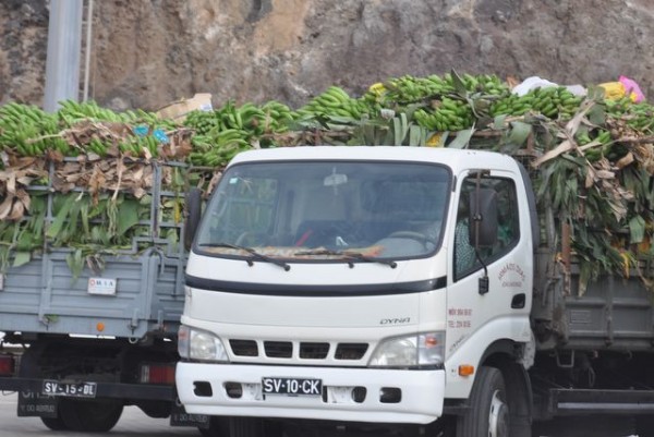 camion_bananes