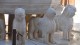 fontaine_lions_3