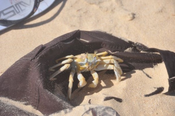 caranguero_16