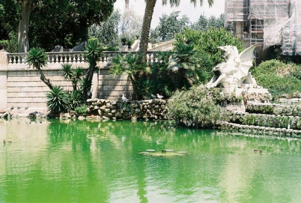 cascada_2
