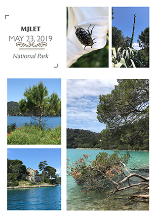 mljet_nruaux.jpg