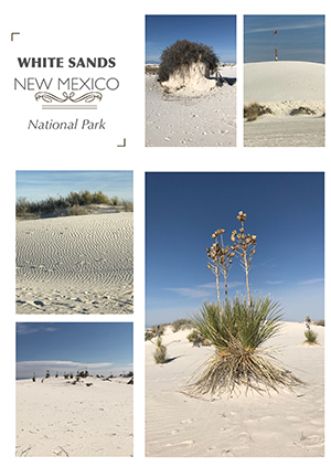 white_sands.jpg