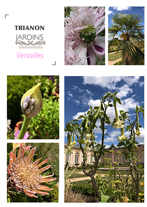 jardins_trianon_versailles_nruaux.jpg